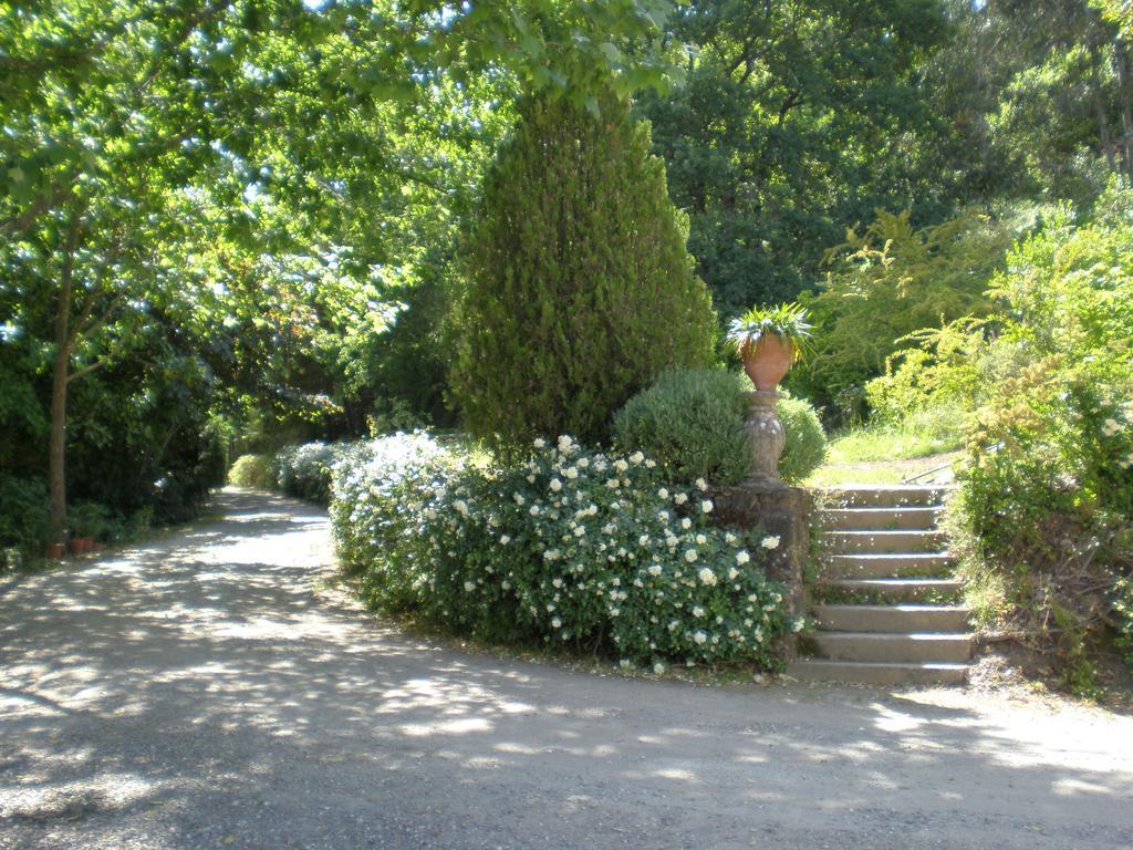 Quinta Da Vargem 언헤이다세라 외부 사진